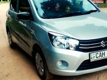Suzuki Celerio 2015 Car