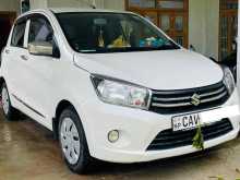 Suzuki Celerio 2017 Car