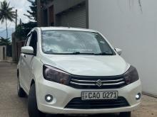 Suzuki Celerio 2015 Car