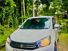 Suzuki Celerio 2015 Car
