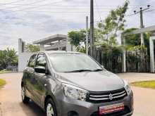 Suzuki Celerio 2014 Car