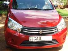 Suzuki Celerio 2015 Car