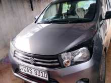Suzuki Celerio 2016 Car