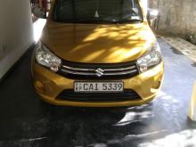 Suzuki Celerio 2016 Car