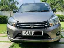 Suzuki Celerio 2016 Car