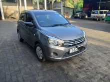 Suzuki Celerio 2016 Car