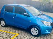 Suzuki Celerio 2015 Car