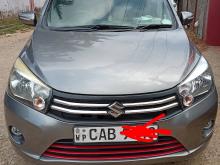 Suzuki Celerio 2015 Car