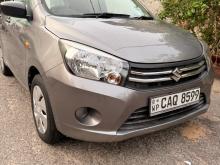 Suzuki Celerio 2016 Car