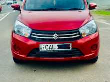 Suzuki Celerio 2015 Car