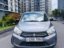 Suzuki Celerio 2016 Car