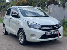 Suzuki Celerio 2015 Car
