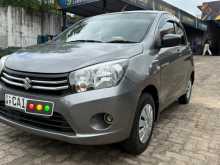 Suzuki Celerio LXI 2015 Car