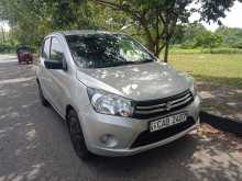 Suzuki Celerio VXI 2014 Car