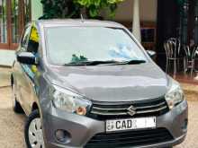 Suzuki Celerio Vxi 2015 Car