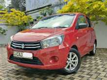 Suzuki Celerio Vxi 2015 Car