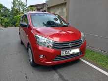 Suzuki Celerio Vxi 2015 Car