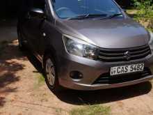 Suzuki Celerio VXI 2016 Car