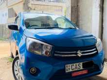 Suzuki Celerio Vxi 2016 Car