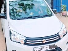 Suzuki Celerio VXI AMT 2014 Car