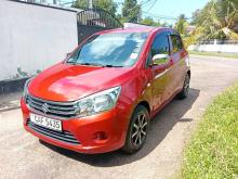 Suzuki Celerio VXI 2015 Car
