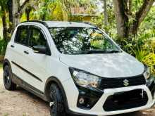 Suzuki Celerio X Grade 2019 Car