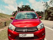 Suzuki Celerio Zxi 2016 Car