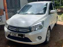 Suzuki Celerio ZXI 2015 Car