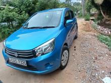 Suzuki Celerio Zxi 2016 Car