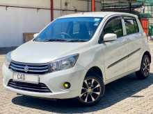 Suzuki Celerio ZXI 2015 Car