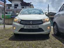 Suzuki Celerio ZXI 2015 Car