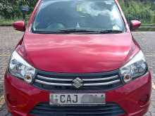 Suzuki Celerio ZXI 2015 Car