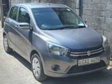 Suzuki Celerio ZXI 2015 Car
