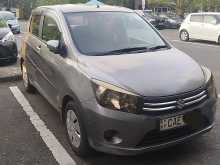 Suzuki Celerio ZXI 2015 Car