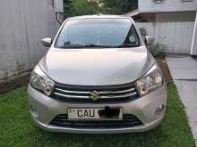 Suzuki Celerio ZXI 2017 Car