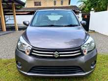 Suzuki Celerio ZXI 2017 Car