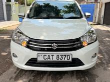 Suzuki Celerio ZXI 2017 Car