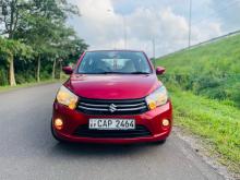 Suzuki Celerio Zxi 2016 Car