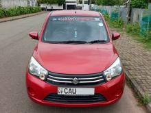 Suzuki Celerio ZXI 2017 Car