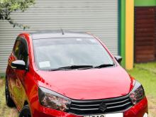 Suzuki Celerio ZXI 2016 Car