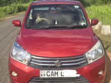 Suzuki Celerio Zxi 2015 Car