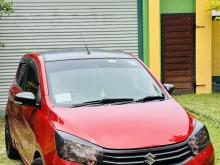 Suzuki Celerio ZXI 2016 Car