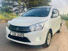 Suzuki Celerio ZXI 2015 Car