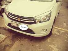Suzuki Celerio Zxi 2016 Car