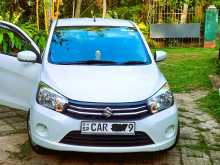 Suzuki Celerio ZXI 2016 Car