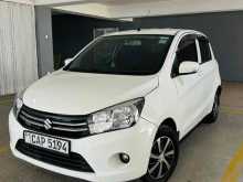 Suzuki Celerio ZXI 2016 Car