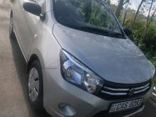 Suzuki CELERIO 2016 Car