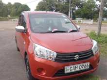 Suzuki Celerio 2014 Car