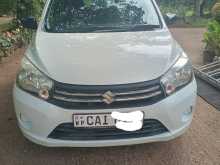 Suzuki Celerio 2015 Car