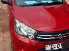 Suzuki Celerio 2014 Car